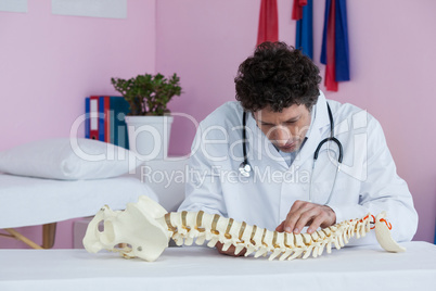 Physiotherapist examining a spine model