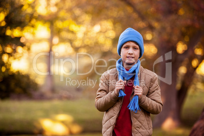 Portrait of boy holding scarf at aprk