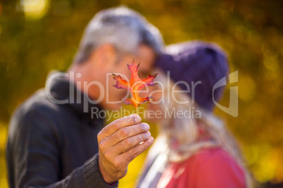 Man holding autumn leaf while kissing woman