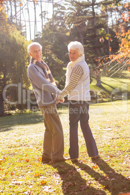 Senior couple holding hands and fixing the camera