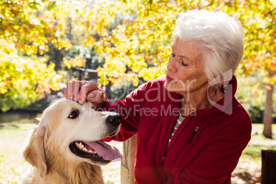 elderly woman sitting with dog