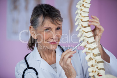 Physiotherapist examining a spine model