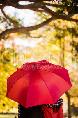 Rear view of couple with umbrella