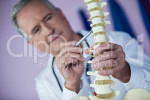 Physiotherapist examining a spine model