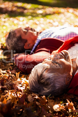 Couple lying in park during autumn