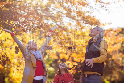 Family playing with leaves at park