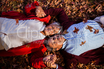 Mature couple relaxing at park during autumn