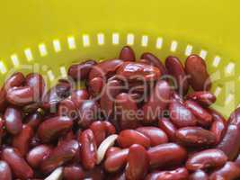 Kidney beans legumes vegetables