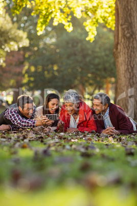 Joyful family using cellphone at park