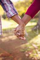 Couple holding hands at park