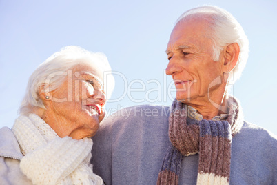 Senior couple embracing and regarding themselves