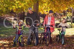 Family riding bicycles at park