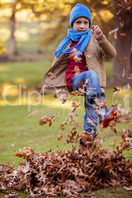 Portrait of boy kicking autumn leaves