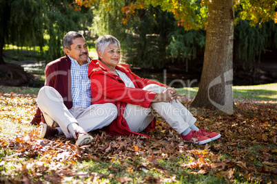 Contemplated couple sitting on autumn leaves