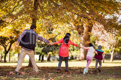 Rear view of family holding hands at park