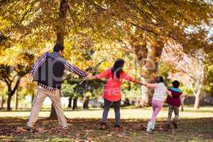 Rear view of family holding hands at park