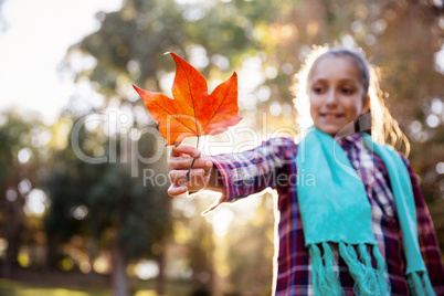 Smiling girl holding autumn leaf at park