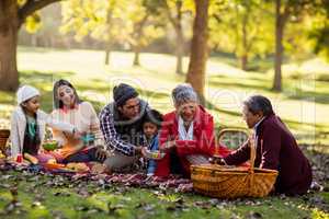 Family enjoying at park