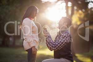 Man giving ring to woman