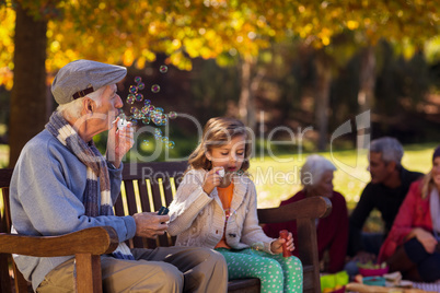 Grandfather blowing bubbles with granddaughter