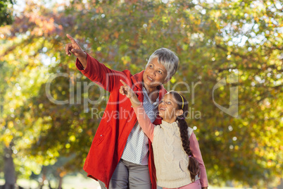 Granddaughter with grandmother pointing while standing at park