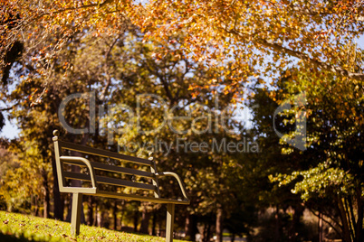 Low angle view of empty park bench during autumn