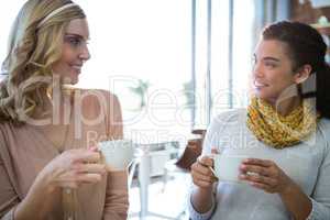 Female friends sitting together and having coffee