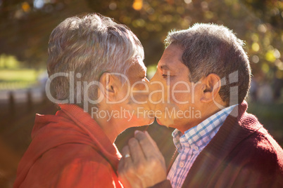 Couple covering face with leaf while kissing