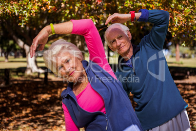 Elderly couple making fitness