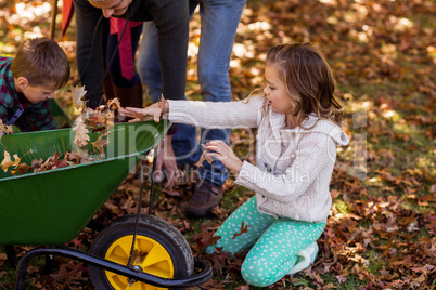 Children picking up autumn leaves with parents