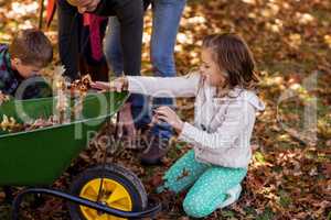 Children picking up autumn leaves with parents
