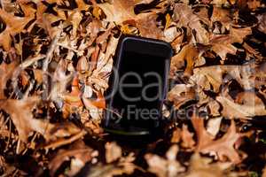 Mobile phone amidst autumn leaves