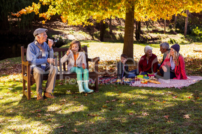 Family picnicking and the grandfather playing with his grand dau