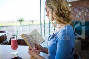 Woman reading a novel