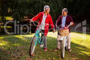 Mature couple with bicycle at park