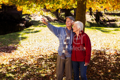 Senior man showing something to his wife