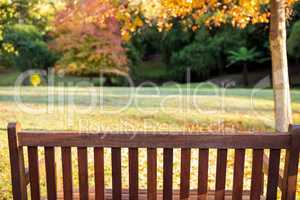 bench in a park