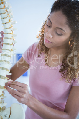 Woman holding spine model