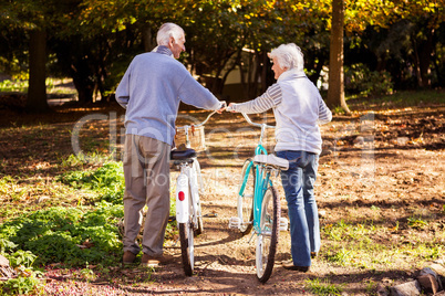 Senior couple walking next to their bike