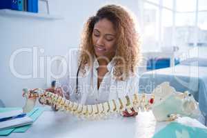Smiling physiotherapist holding spine model