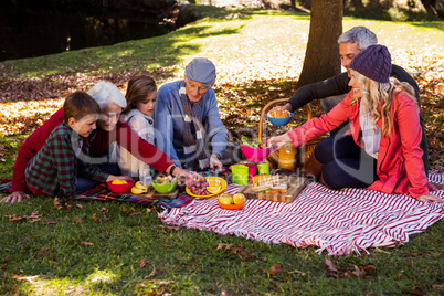 Family picnicking
