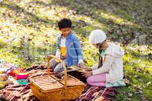 Siblings relaxing at park