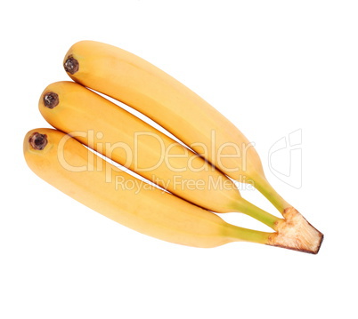 many yellow banana isolated