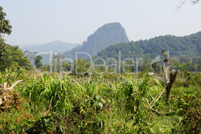Landschaft bei Muang Ngoi, Laos, Asien