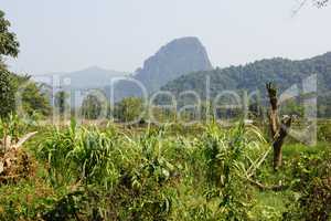 Landschaft bei Muang Ngoi, Laos, Asien