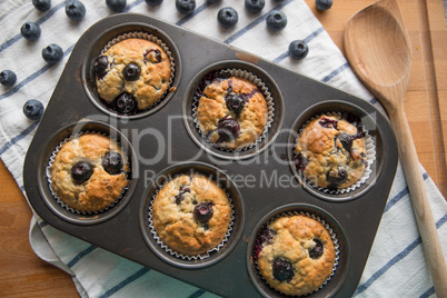 Blaubeer Muffins