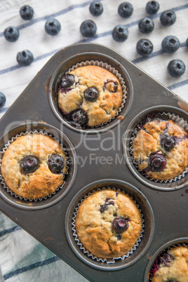 Blaubeer Muffins