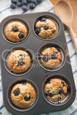 Blaubeer Muffins