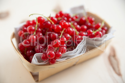 Johannisbeeren