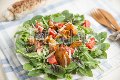 Salat mit Eierschwammerl, Pfifferlinge